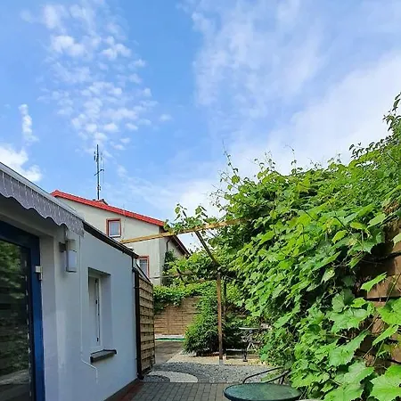 Homestay Oliwka