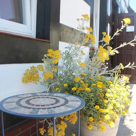 Homestay Flauta Ii Ustka