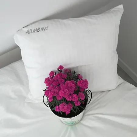 Armona Homestay