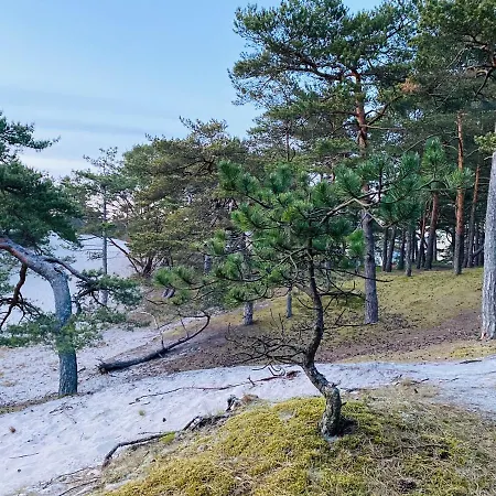 Siedlisko Wytowno Holiday home Ustka