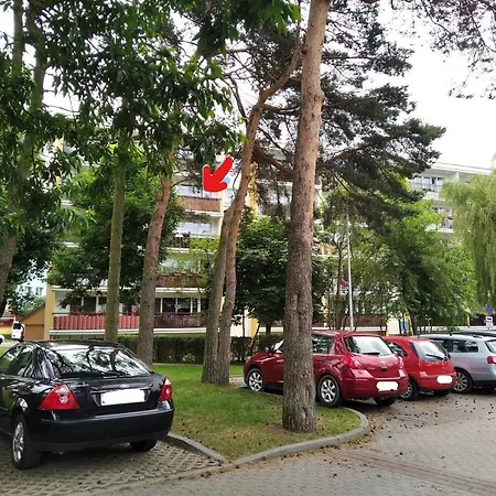 Aurelia Apartment *