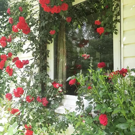 Gaga Farm stay *