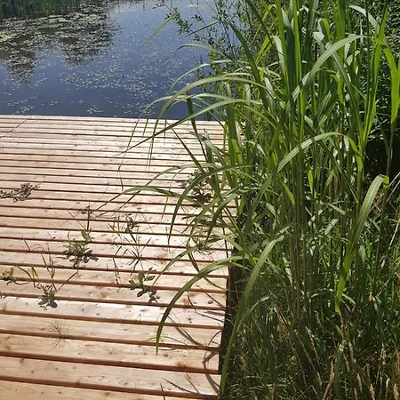 Machowino W Dolinie Nad Stawem Ustka