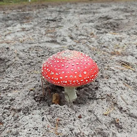 Pod Kotwica Ustka