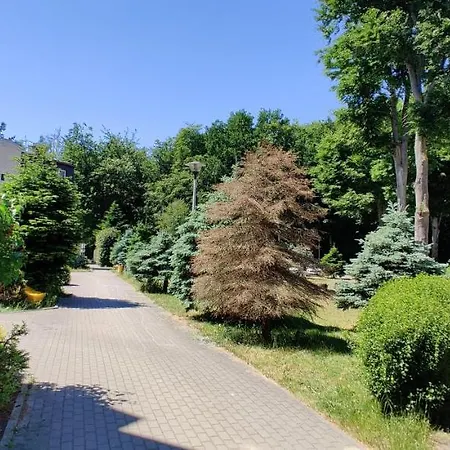 Apartament Vestriapart Las I Morze Apartment *