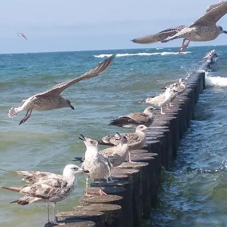 Apartment Royal Maris 5: Retreat Near & Harbor Ustka