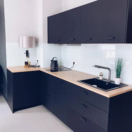 Luxury Apartment