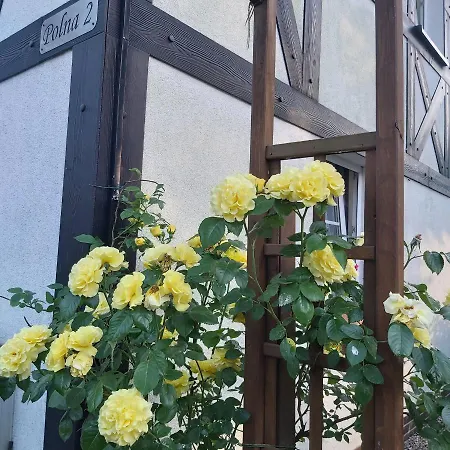 Nadmorskie Apartment *