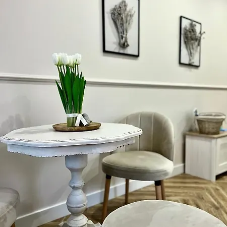 Apartment Kamienica Arte 4