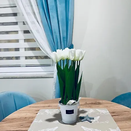 Apartament Kamienica Arte 1 *
