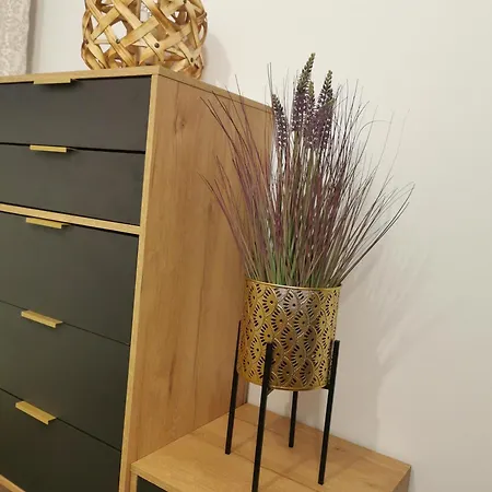 Woda Morska Apartment