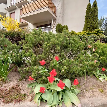 Komfortowy Apartament Dwupokojowy Z Tarasem I Garaz Apartment *