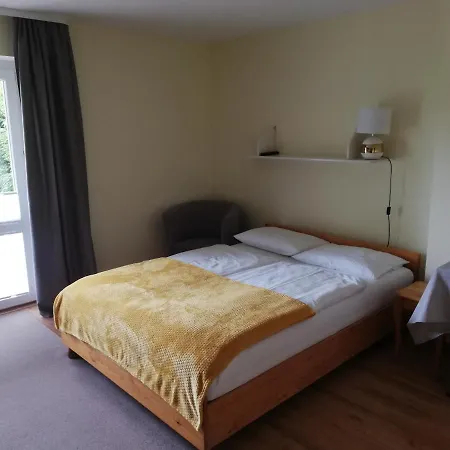 Homestay Goscinne Alpinka *