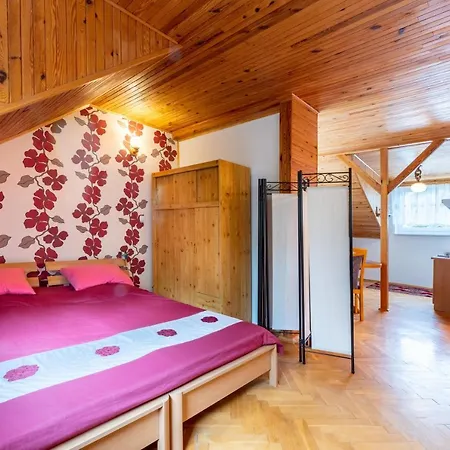 Pod Kotwica Apartment