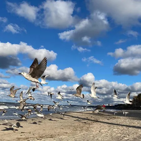 A Morze Ustka