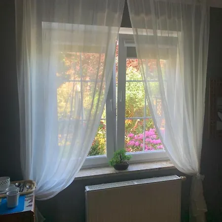 Kanarek Ustka