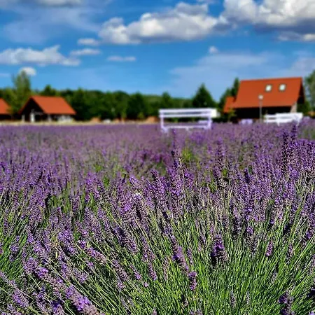 Holiday home Lawendowy Zakatek Machowino- Grosso Ustka