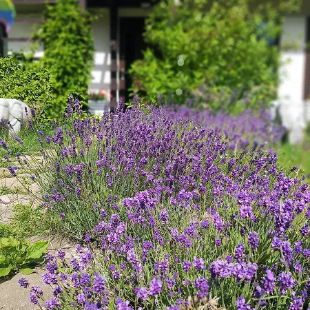 Siedlisko Gregorowo Homestay