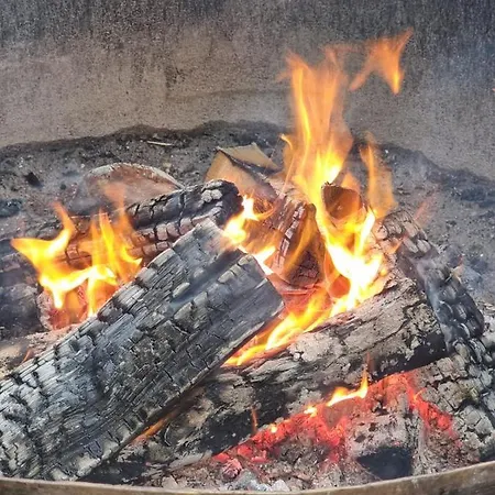 Woodorf-drewnem: Riverside Log With Outdoor Activities Holiday home *