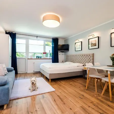Usteckie Apartment *