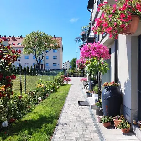 4 Foxes Ustka
