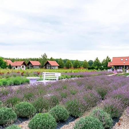 Holiday home Lawendowy Zakatek Machowino- Beate Ustka