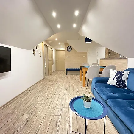 Maximus Guest house *