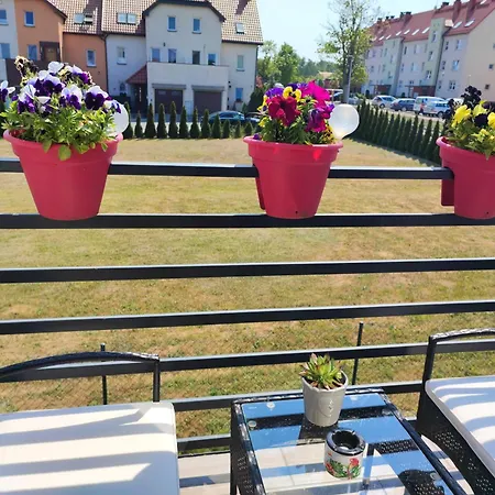 4 Foxes Ustka