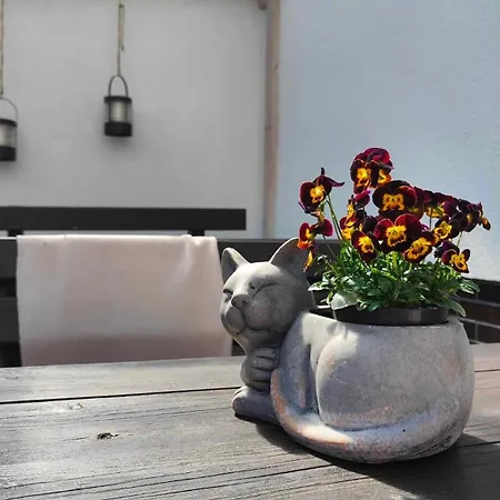 Homestay Amber Ustka