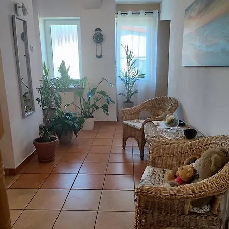 - Homestay