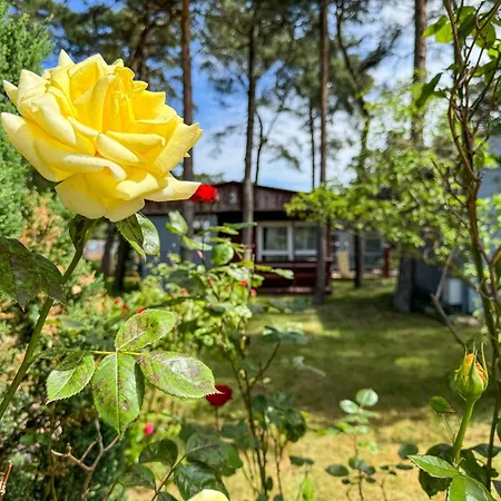 Resort Sloneczna