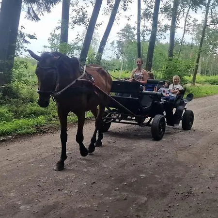 Przylesie21 Ustka