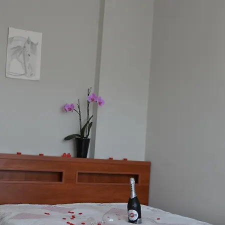 U Piotra Homestay