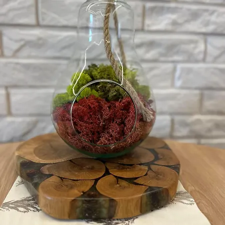 Apartment Przy Plazy 2, Marynarki Polskiej 57 *