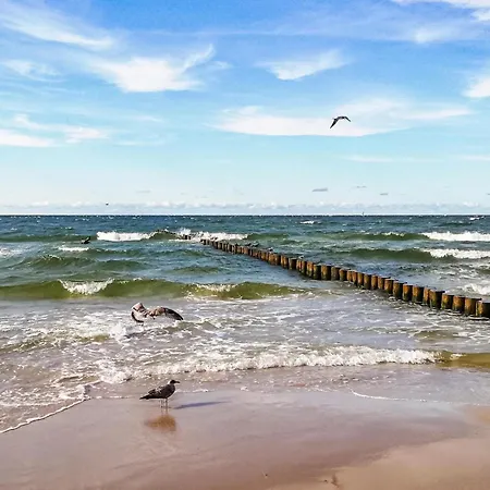 In With Wifi Ustka