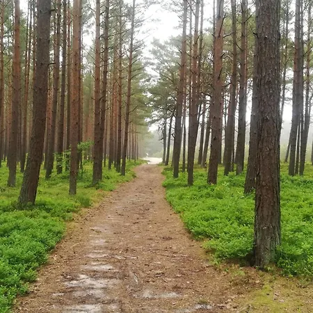 Homestay Klonowa 13 - Przytulne Do Wynajecia Nad Morzem