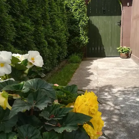 Homestay Klonowa 13 - Przytulne Do Wynajecia Nad Morzem Ustka
