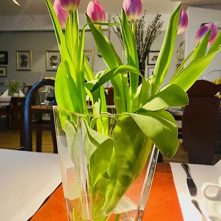 Hotel Rejs 4*