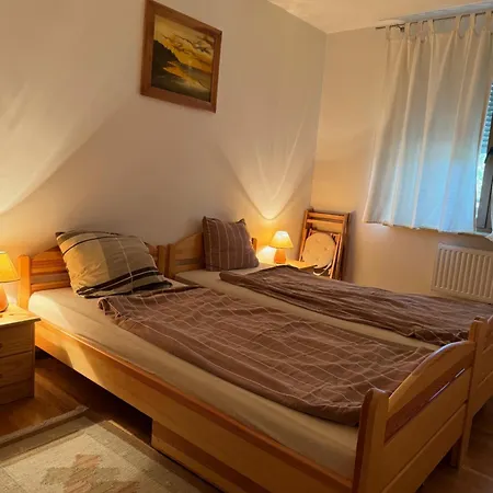 Sosnowy Apartament