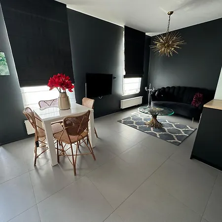 Luxury Apartment