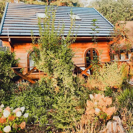 Woodorf-drewnem: Riverside Log With Outdoor Activities Holiday home