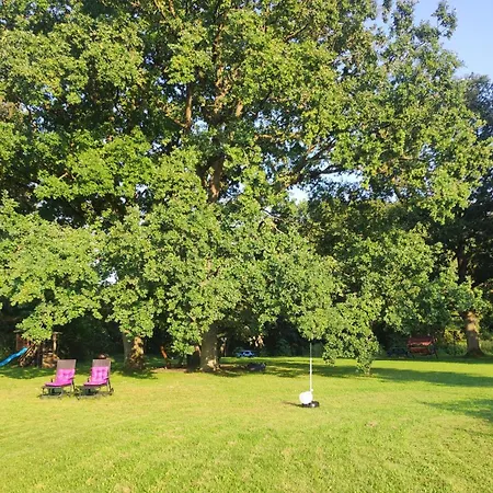 Woodorf-drewnem: Riverside Log With Outdoor Activities * Ustka
