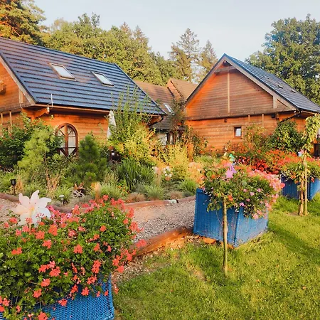 Holiday home Woodorf-drewnem: Riverside Log With Outdoor Activities