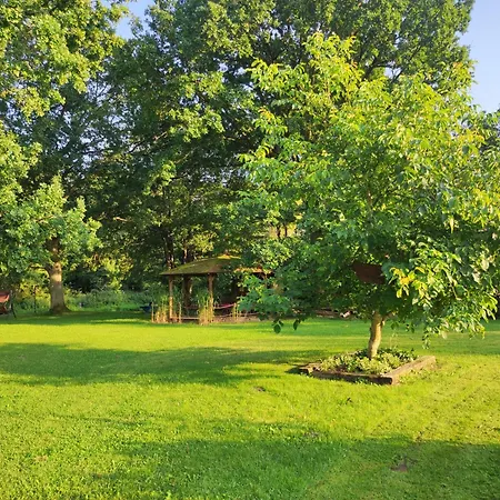 Villa Woodorf Drewnem Uslane - Z Bala Nad Rzeka Slupia Wsrod Pol I Lasow Z Grillowa, Ogniskiem I Placami Zabaw Dla Dzieci *