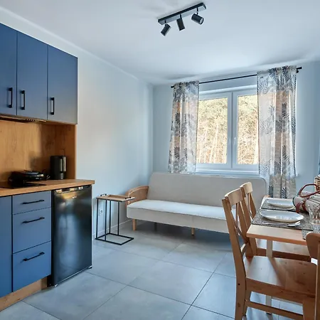 Wakacyjne Debina Apartment