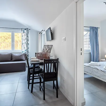 Apartment Wakacyjne Debina Horyzont *