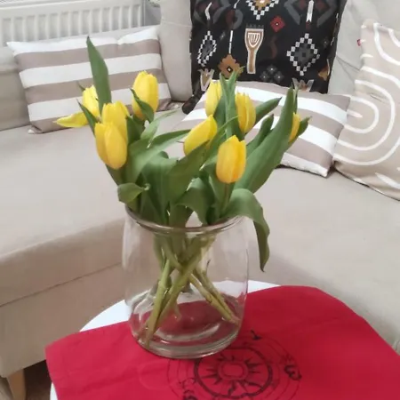 Letni Wiatr 3 Apartment Ustka