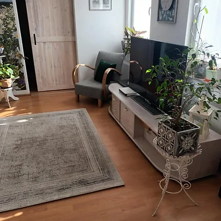 Apartment Stokrotka *