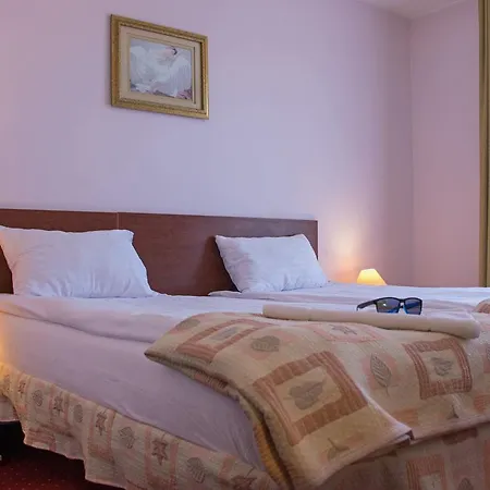 Aleksander Hotel 2*