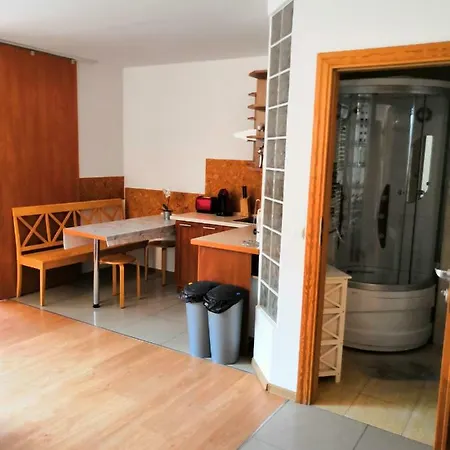 Apartment Apartamenty Pod Sosnami *